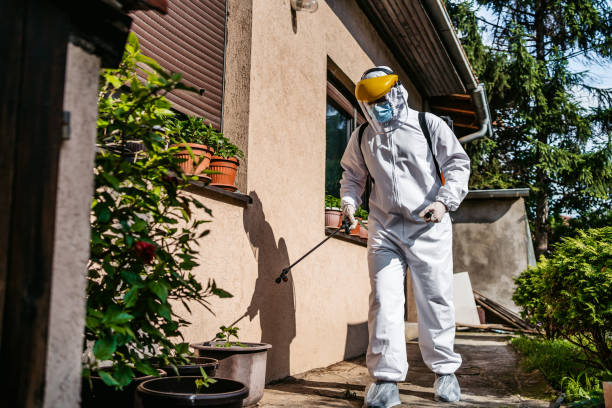 Best Termite Control Services  in Sycamore, GA