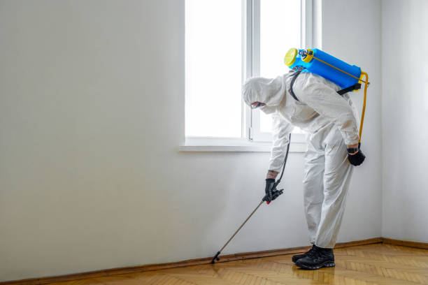 Best Wasp Removal Services  in Sycamore, GA