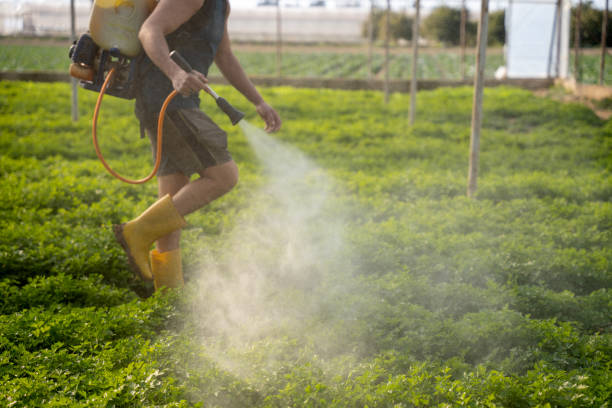 Best Mosquito Control Services  in Sycamore, GA