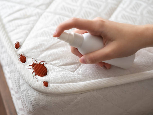 Best Affordable Pest Control Services  in Sycamore, GA