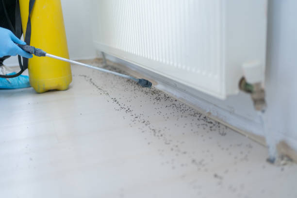 Best Exterminator Services  in Sycamore, GA